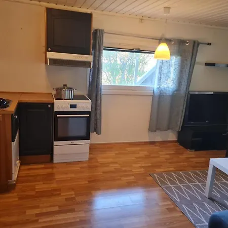 Modern Arctic Apartment *